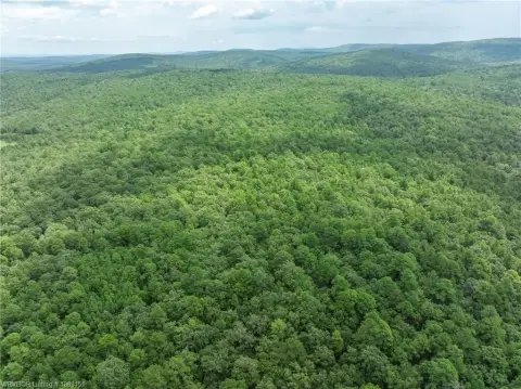 Heavily Wooded Land in Red Oak