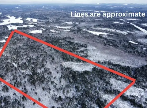 Expansive Land Parcel in Liberty, Maine
