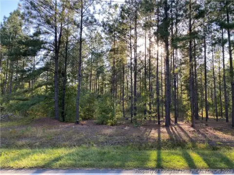 60 Acres of Hunting Land