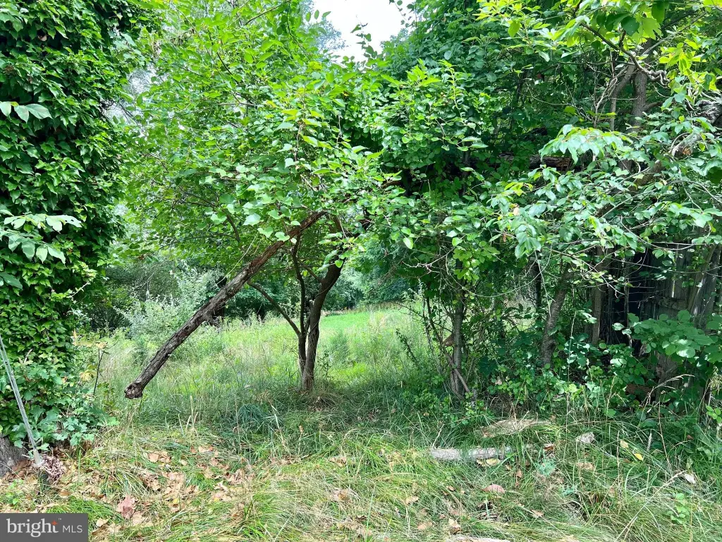 Picture 16