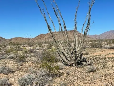 Land Near Interstate Access