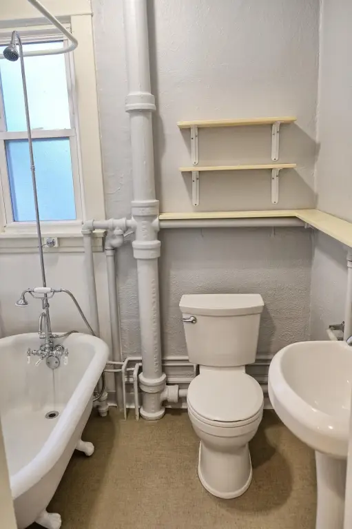 Picture 18
