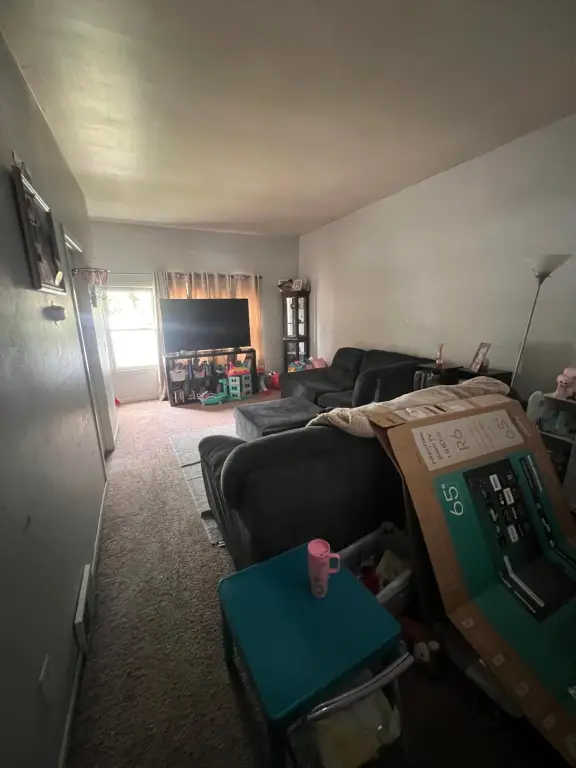 Picture 15