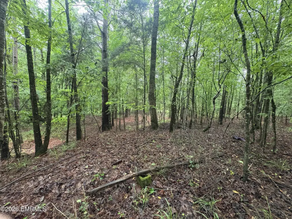 Picture 9