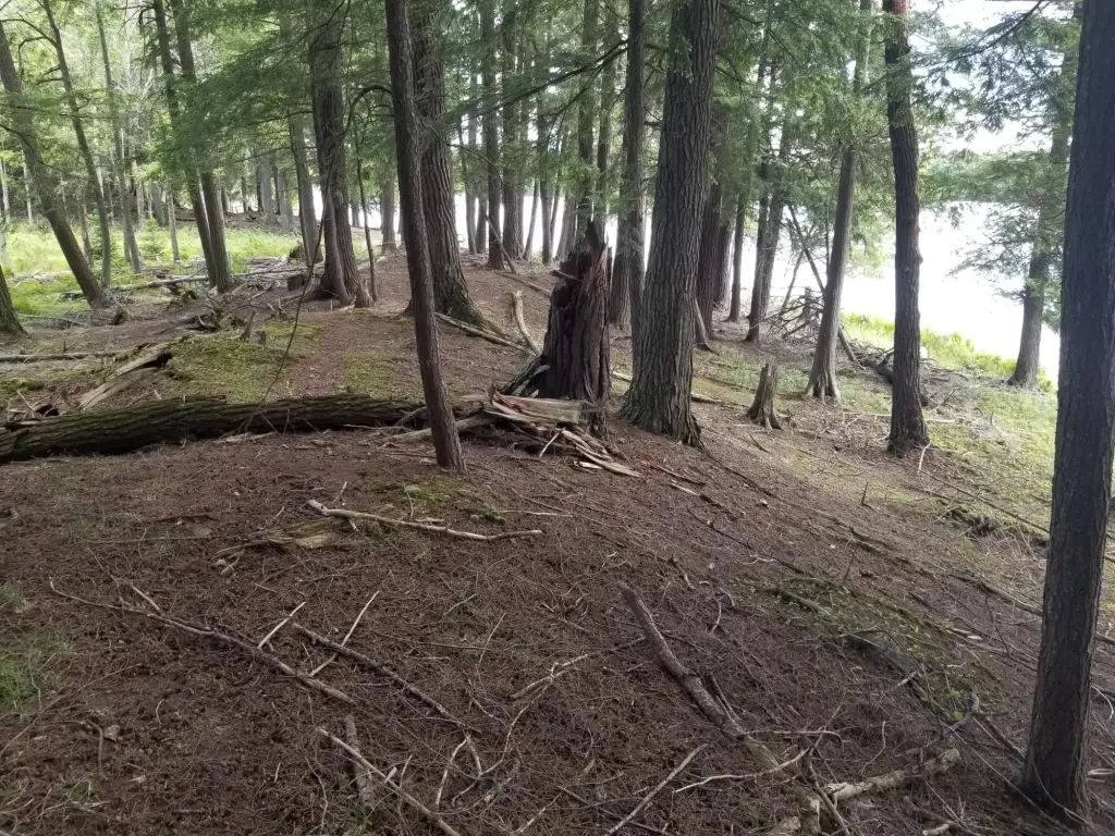 Picture 6