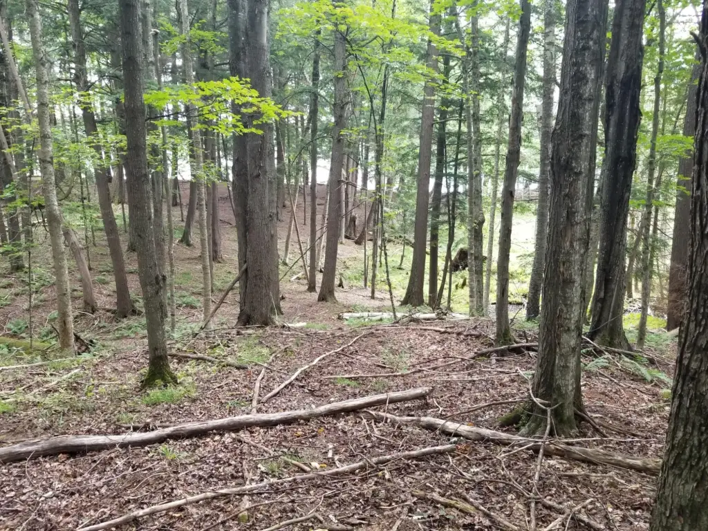 Picture 4