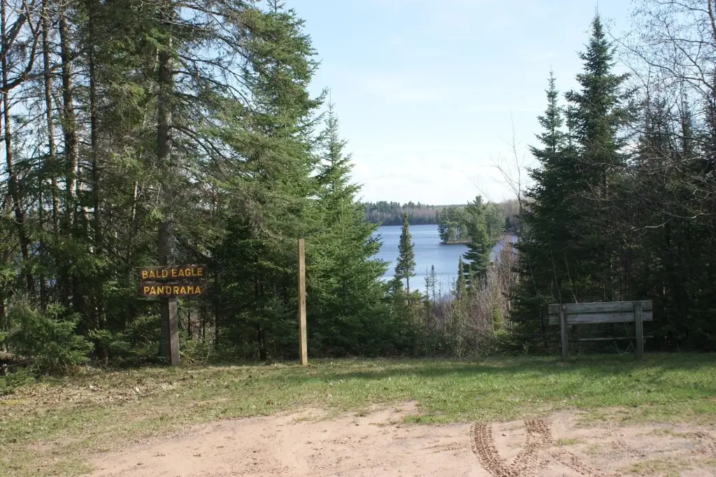 Picture 13