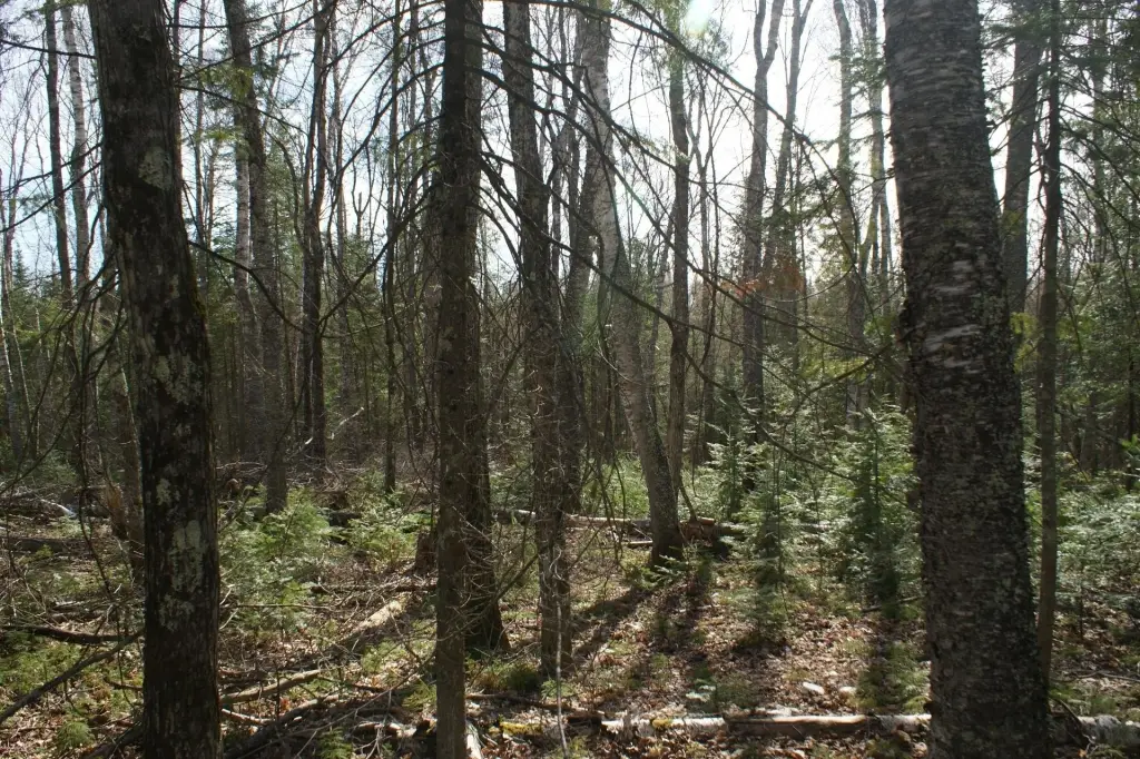 Picture 2