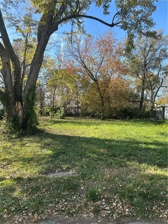 Picture 3