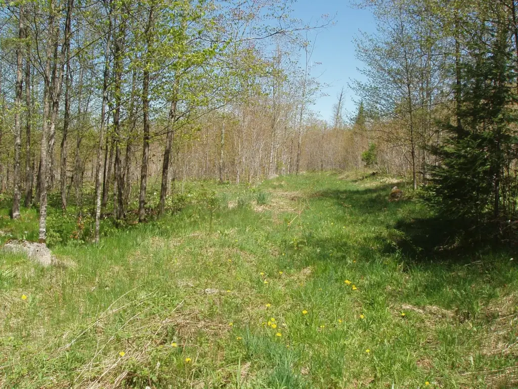 Picture 12