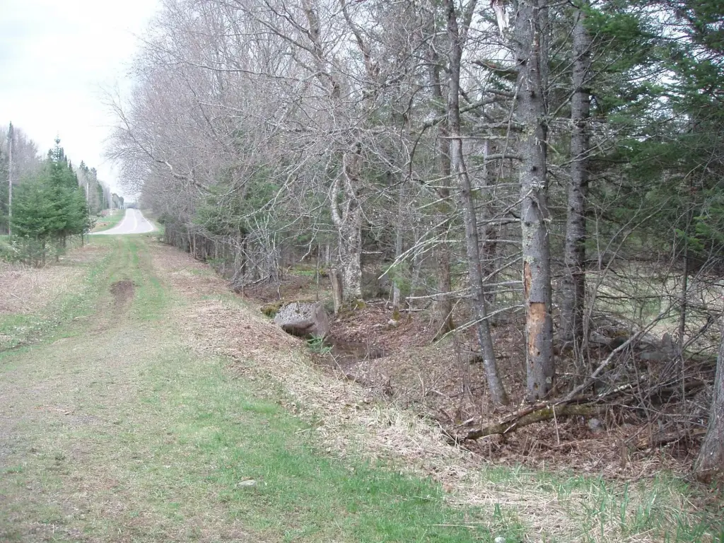 Picture 25