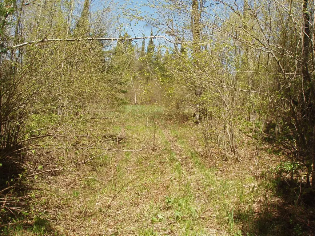 Picture 19