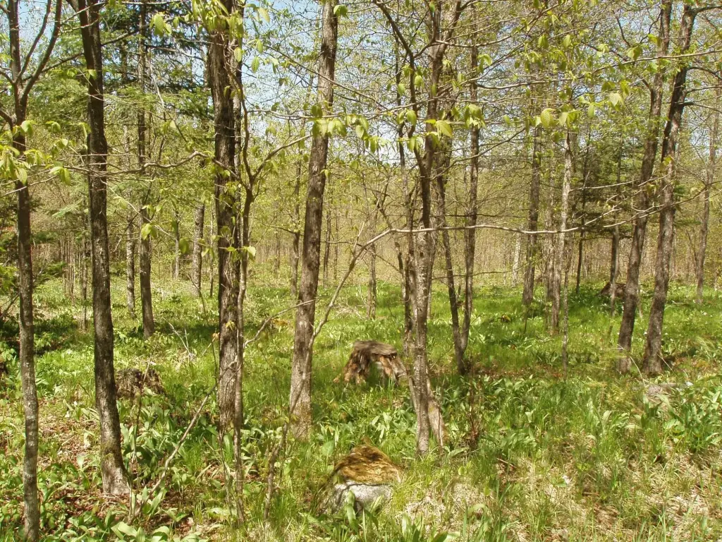 Picture 13