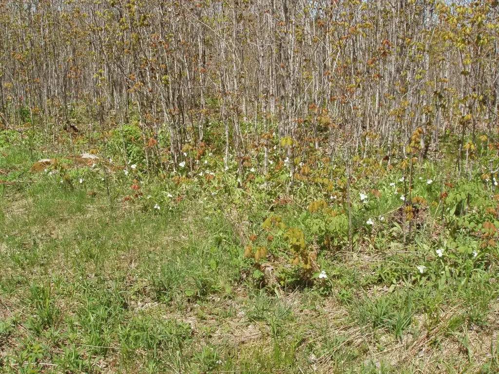 Picture 14