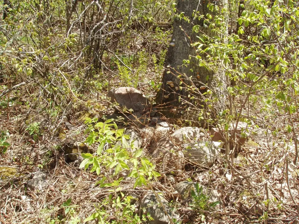 Picture 18