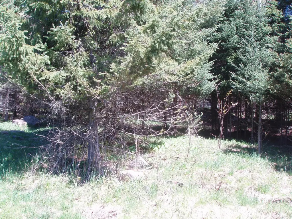 Picture 3
