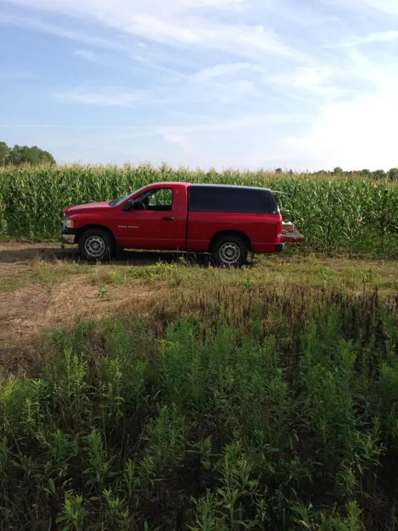 Picture 30