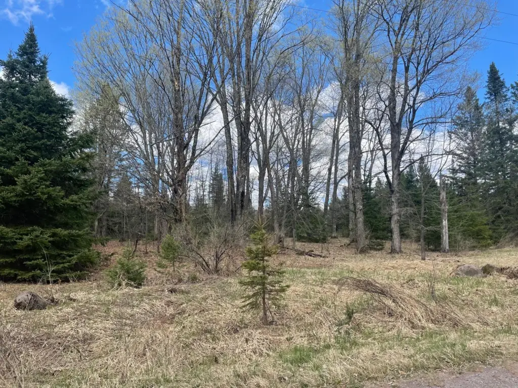 Picture 2