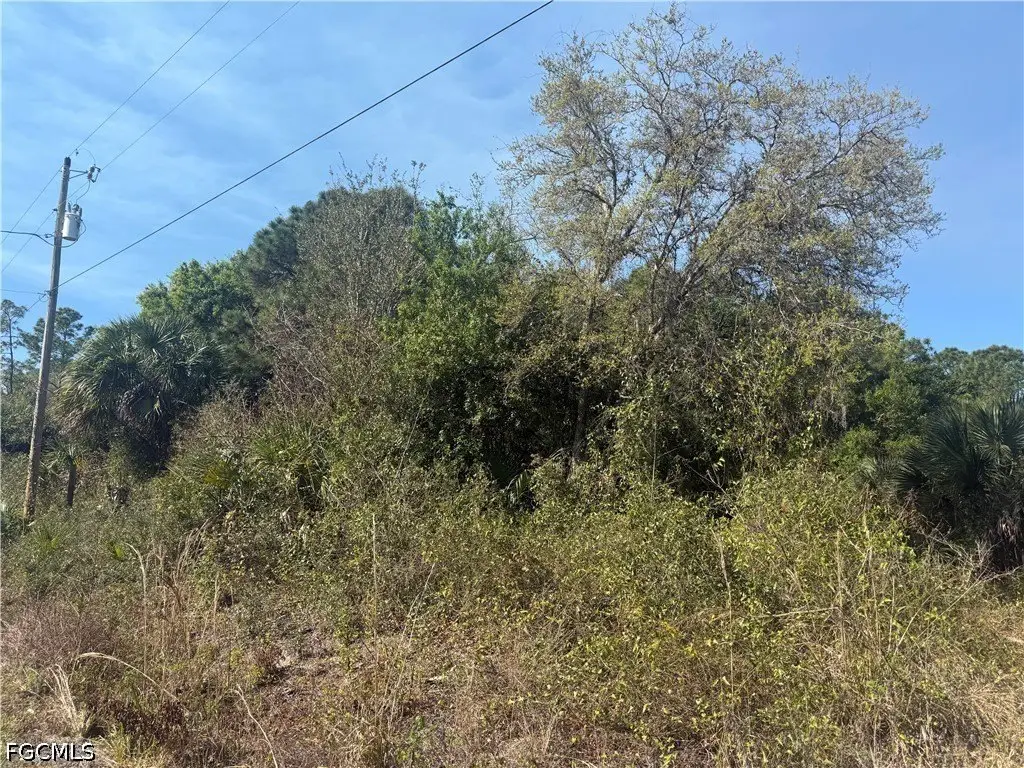 Picture 2