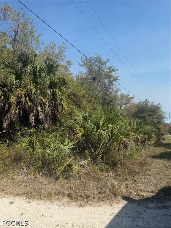 Picture 15