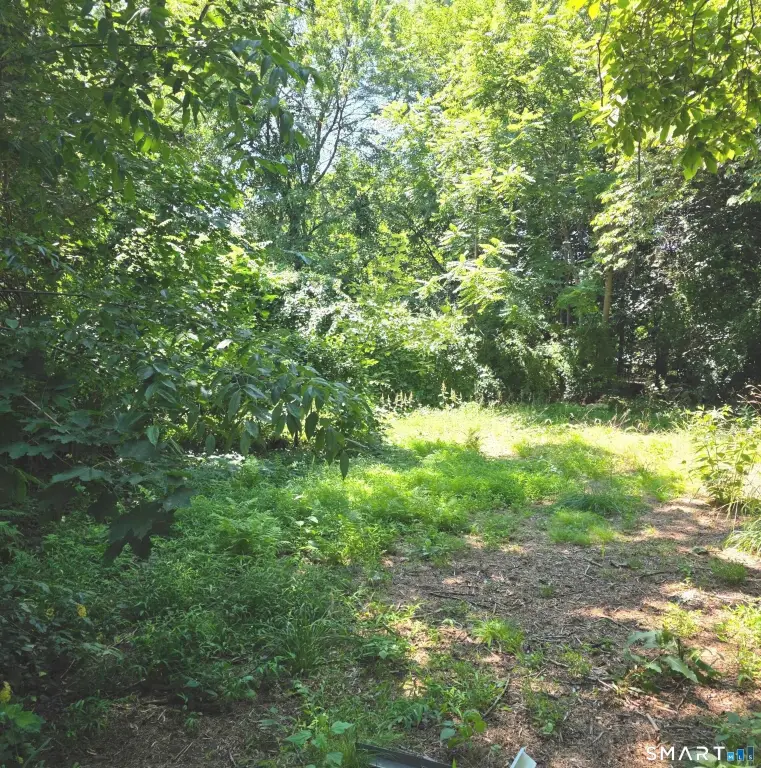 Picture 30