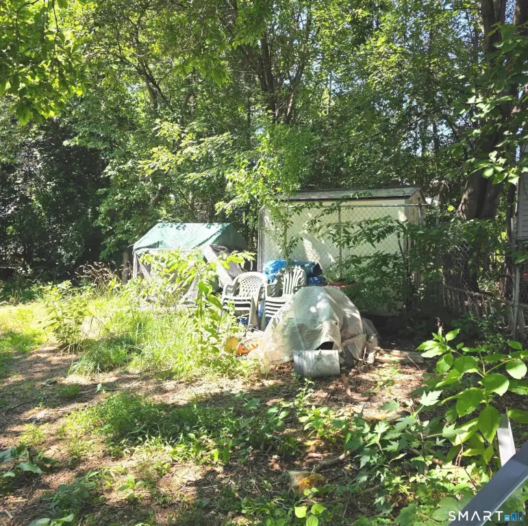 Picture 29