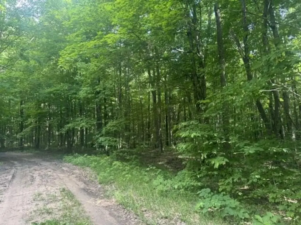 Picture 5
