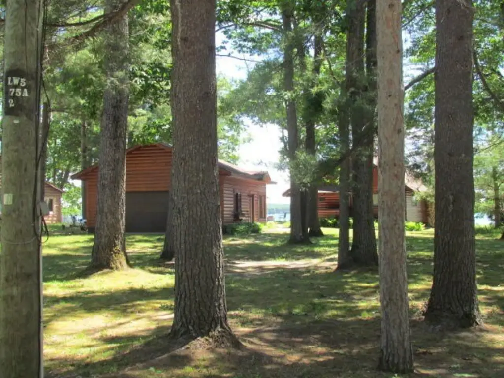 Picture 14
