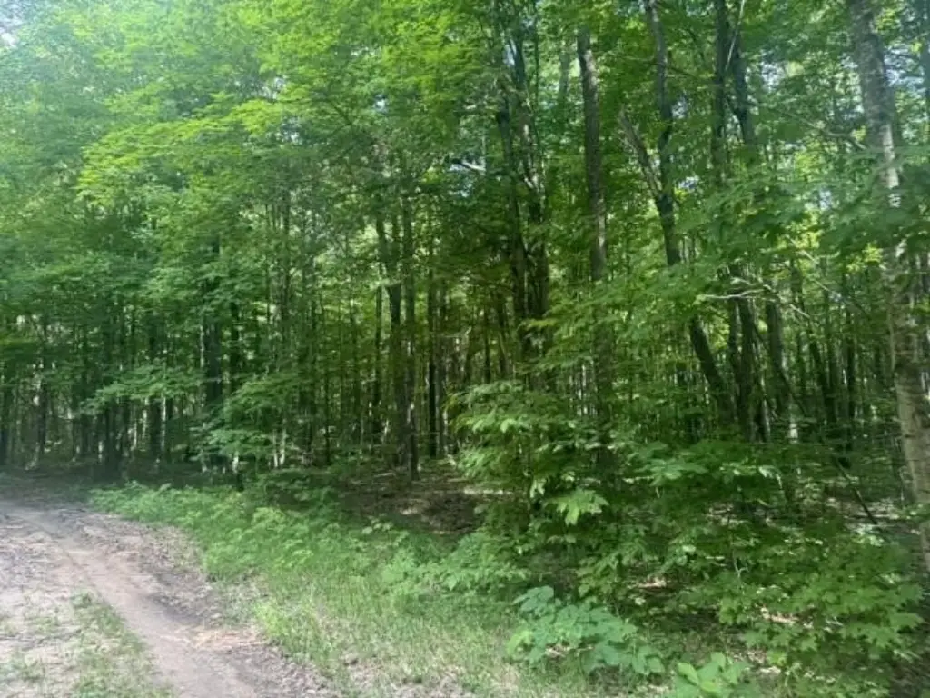 Picture 3