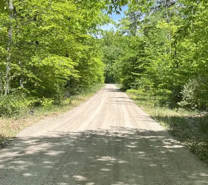Wooded Residential Building Lot