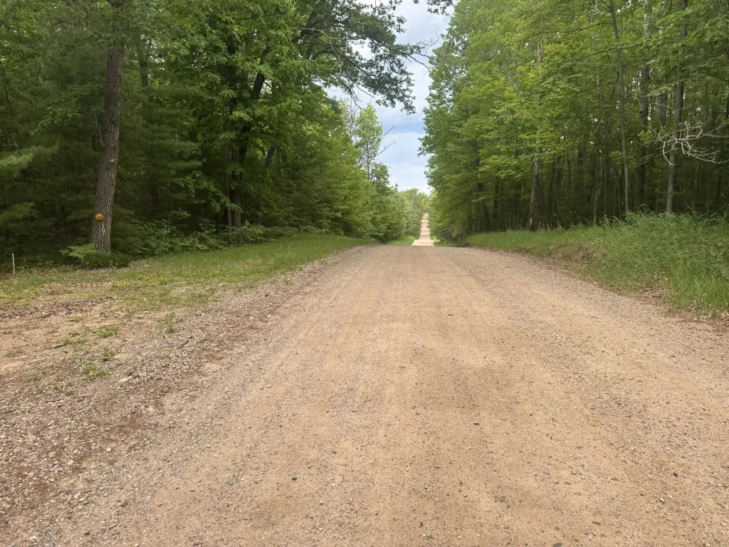 Picture 15