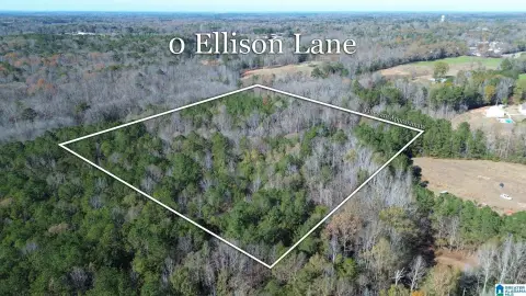 6 Acre Jemison Land Parcel