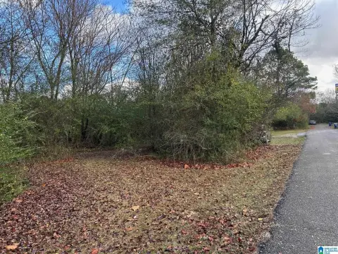 Land with Highway Frontage