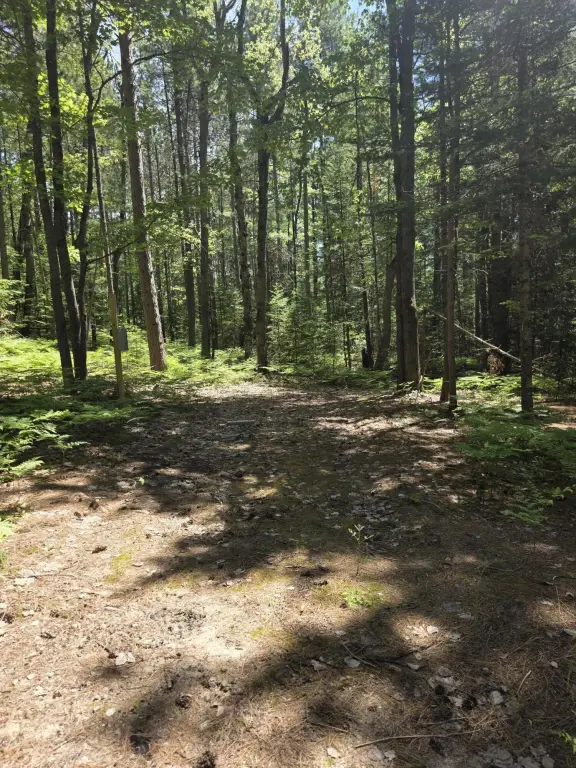 Picture 18