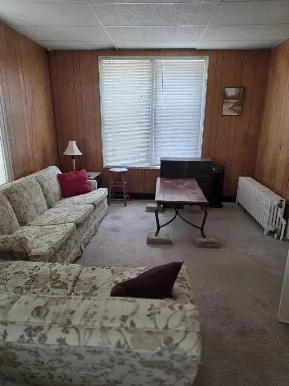 Picture 11