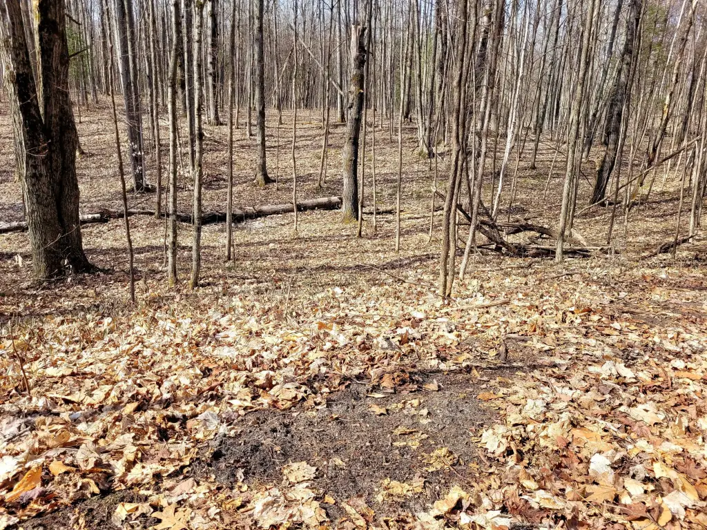 Picture 24