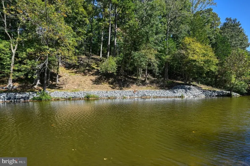 Picture 41