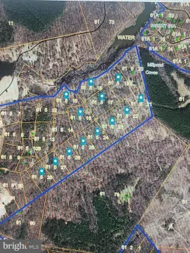 80 Acres of Versatile Land