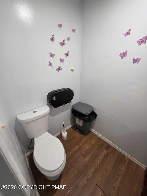 Picture 19