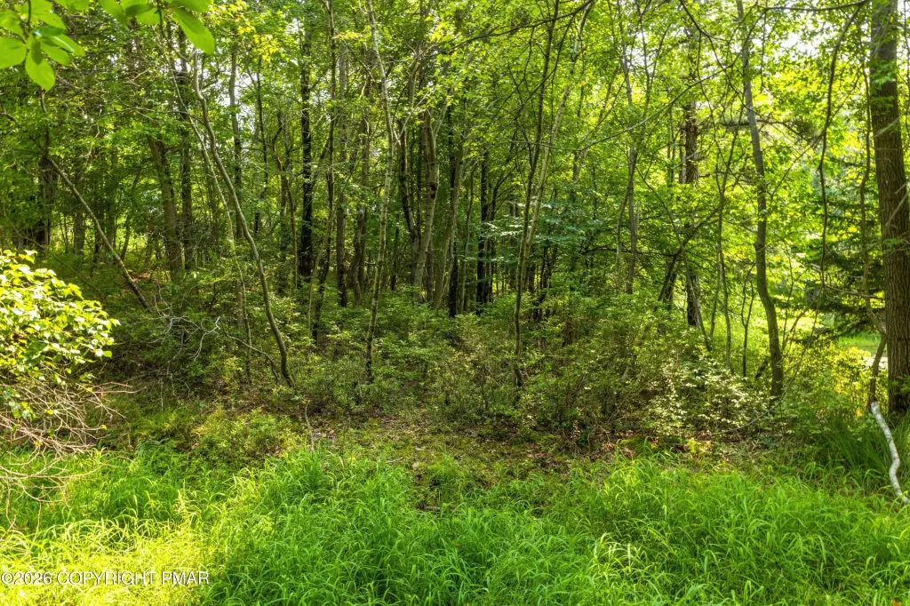 Picture 31