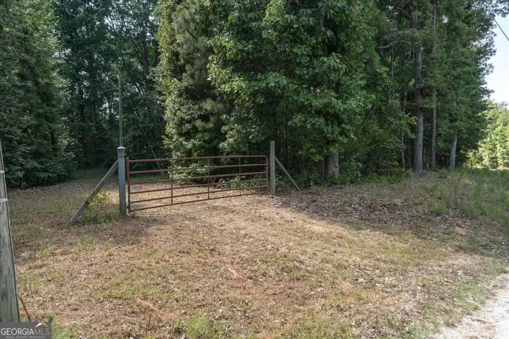 Picture 22