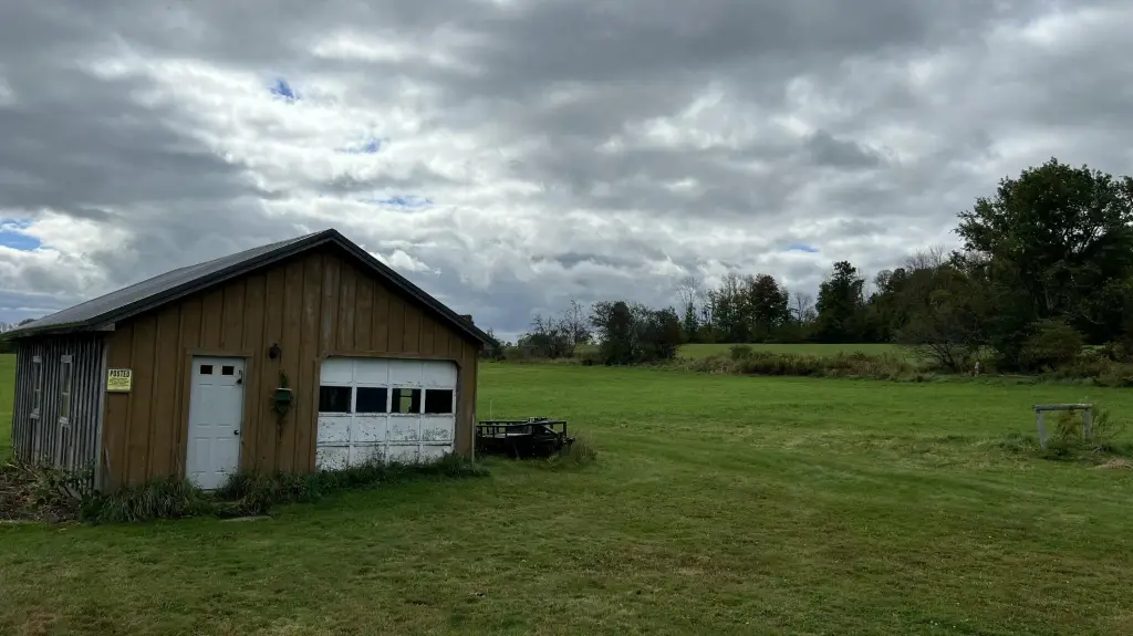 Picture 26