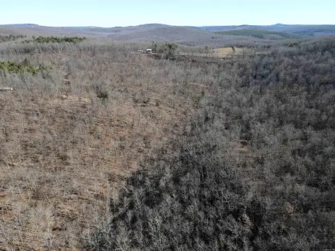 20 Acres of Timber Land