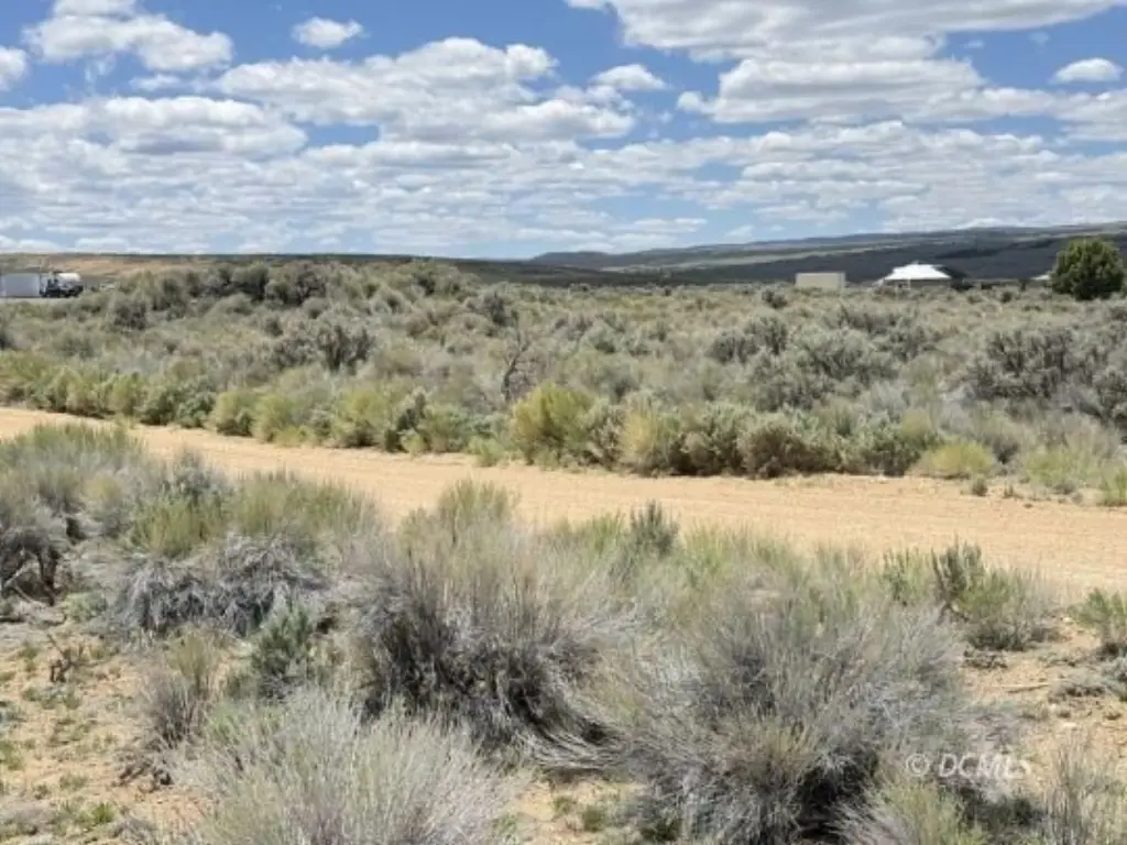Picture 8