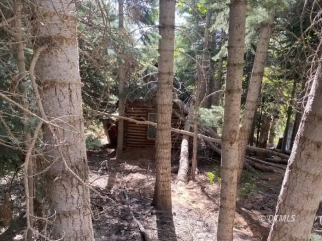 Picture 4