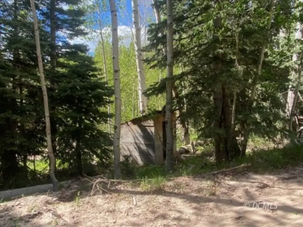 Picture 8