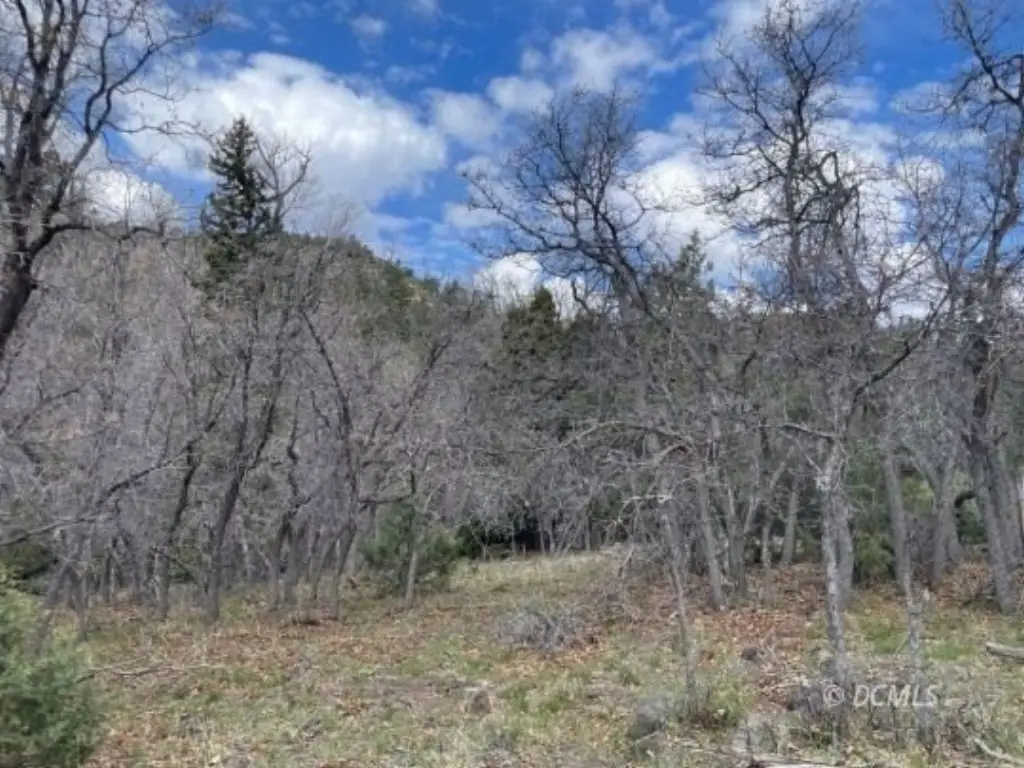 Picture 8