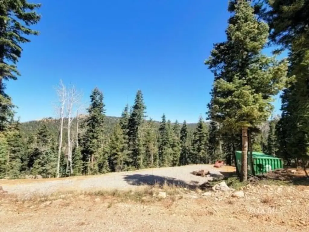 Picture 2