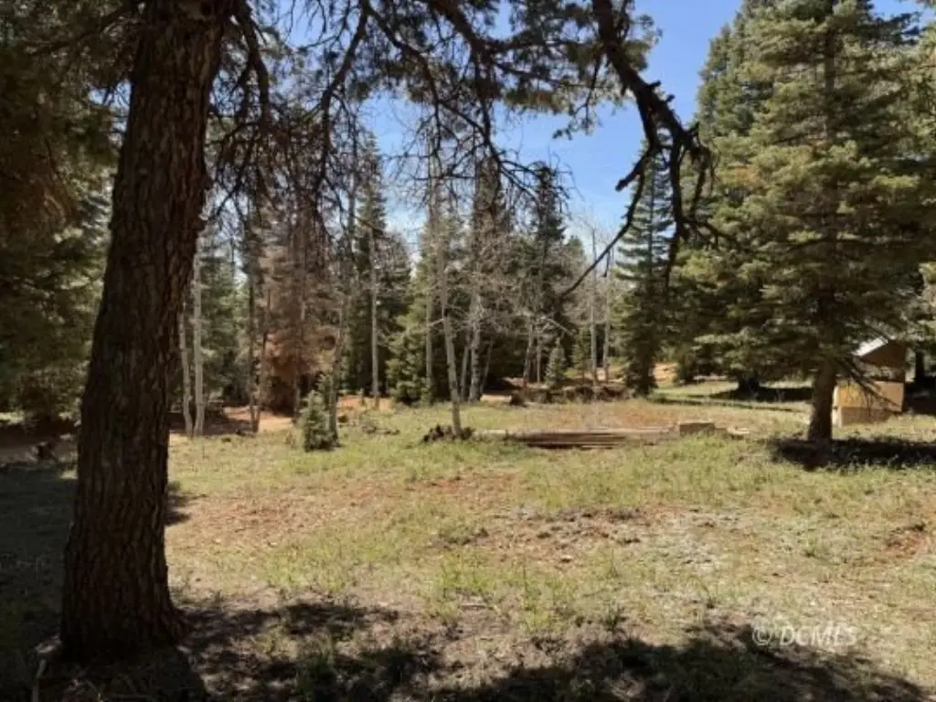 Picture 3