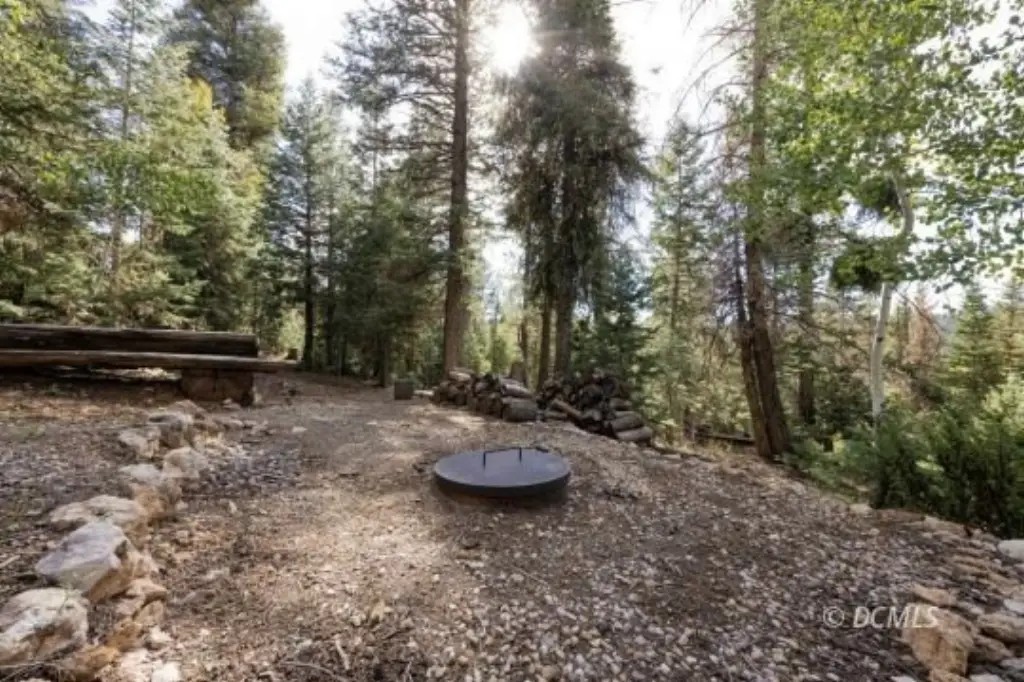 Picture 10